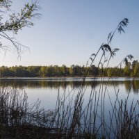 Утро на Днепре :: Сергей Цветков