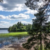 Парк Монрепо. :: Владимир Безбородов