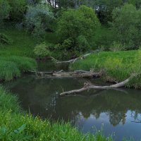 У Тихой Воды :: юрий поляков