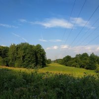 Июль в Измайловском парке :: Андрей Лукьянов