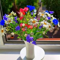 Полевые цветы — природного естества живая красота! :: Ольга Довженко