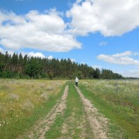 В лес за грибами и ягодами :: Надежда 