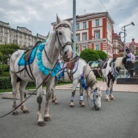 ... :: Евгений(Жора) Житников