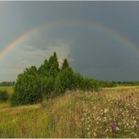 Июль - макушка лета :: Валентин Котляров