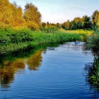 Родниковая речка Свинцовка впадает в Хопёр. :: Восковых Анна Васильевна 