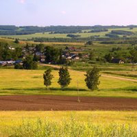 Сибирская деревенька. :: nadyasilyuk Вознюк