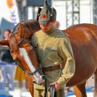 про лошадку преданную ... :: Andrey Bragin 