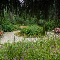 Фото.25.07.2024.Екатеринбург.Пасмурным днём в Ботаническом Саду :: Михаил Пименов