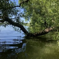 У воды… :: Любовь 