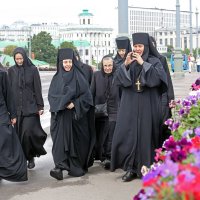 Петунии на Б.Каменном мосту 28 июля :: Михаил Бибичков