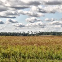 В деревне у бабушке :: Виктор Журбенков