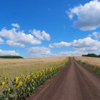 По дороге в август... :: Андрей Заломленков