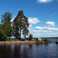 Парк Монрепо. :: Владимир Безбородов