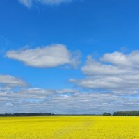 Август :: Евгений Тарасов 