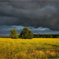 "Вот и август"© :: Владимир Макаров