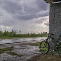 Укрывшись от дождя :: Сергей Цветков