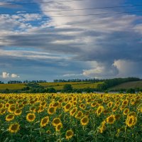 Родная природа :: Дмитрий Ряховский