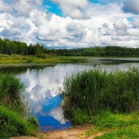 Клёвое место на озере. :: Милешкин Владимир Алексеевич 