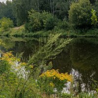 В пасмурный день на Путяевских прудах. :: Василий Ярославцев