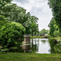 В Лопухинском саду :: Ирина Соловьёва