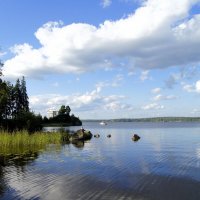 Выборгский залив.Монрепо. :: Лариса С.