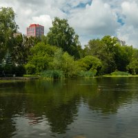 Фото.04.08.2024. Екатеринбург. Дендрарий на Первомайской :: Михаил Пименов