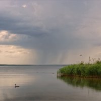 Дождь стороной :: Федор Кобец