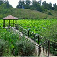 Смотровая беседка :: Сеня Белгородский