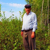 В августовский день на лесной опушке! :: Владимир 