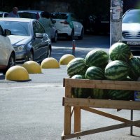 Дары Кубани... :: Николай Саржанов