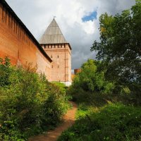 Тропа туристов вдоль Крепостной Стены. :: Милешкин Владимир Алексеевич 