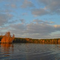 Вечер на озере..... :: Юрий Цыплятников