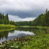 Перед грозой :: Александр Гладких