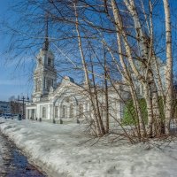 В паутине берез. :: Николай 