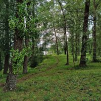 По тропинке вдоль берега Невы... :: Мария Васильева