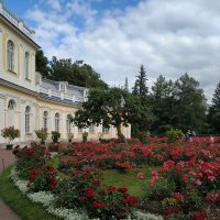 Большая Оранжерея...Петергоф :: Наталия Павлова