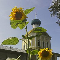 Церковь Крылечко :: Сергей Кочнев