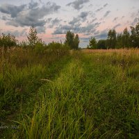 В августе :: Александр Синдерёв