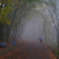 Осенний терренкур...... :: Юрий Цыплятников