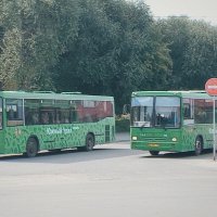 Нелёгкий труд, водителя автобуса. :: Игорь Солдаткин