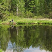 Пейзаж с рыбаком :: Александр Ильчевский 