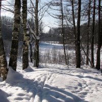 Зимний пейзаж :: Александр Ильчевский 