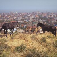 Дозор на горе Тарки-Тау :: Магомед .