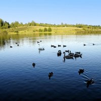 Городищенское озеро. :: Лариса С.