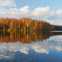 Осень зеркальная...... :: Юрий Цыплятников