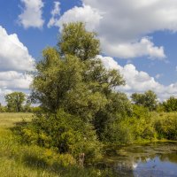 Август полдень :: Сергей Парамонов