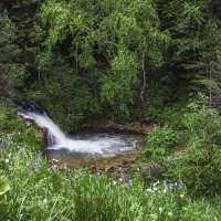 Водопадик на Молочке :: Наталья Забудская