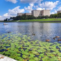 Городские зарисовки :: Irene Irene