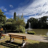 Тихо в парке. На озере /Der Tierpark am Röhrensee - Bayreuths lebendiger Süden/. :: "The Natural World" Александер