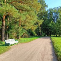 Павловский парк, г.Павловск :: Александр Ульныров